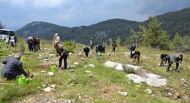 YANAN ALANI MUHTARLAR YENİDEN YEŞİLLENDİRECEK