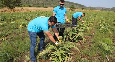 BELEDİYENİN TARIMSAL KALKINMA ÇALIŞMALARI SÜRÜYOR