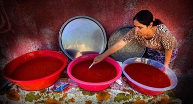 BÜYÜKŞEHİR SALÇA ÜRETİM TESİSİ FİZİBİLİTE PROJESİ’NE DESTEK