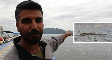 29 YIL SONRA İÇ SULARDA TEKRAR GÖRÜLDÜ