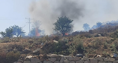 BODRUM’DA OTLUK VE MAKİLİK YANGINI