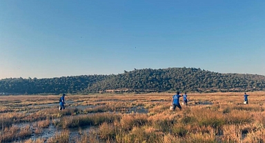 BÜYÜKŞEHİR EKİPLERİNDEN YAĞMURLAR SONRASI VEKTÖRLE MÜCADELE