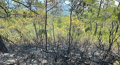 FETHİYE'DE ÇIKAN ORMAN YANGINI SÖNDÜRÜLDÜ