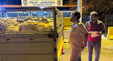 HAYVAN SAĞLIĞI İLE İLGİLİ DENETİMLER ARALIKSIZ SÜRÜYOR