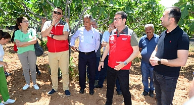 İNCİR ÜRETİCİLERİNE UYGULAMALI EĞİTİM