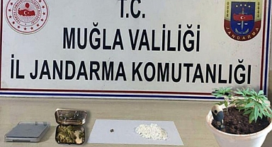 JANDARMADAN MUĞLA GENELİNDE UYUŞTURUCU OPERASYONU