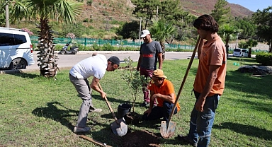 KARDEŞ ŞEHİRDEN MARMARİS’E FİDAN