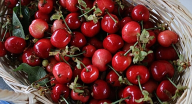 KİRAZ FESTİVAL İÇİN GERİ SAYIM BAŞLADI