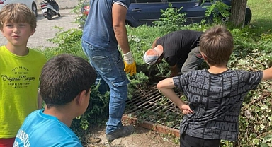 MARMARİS’TE BELEDİYE EKİPLERİ YAVRU KEDİYİ KURTARDI