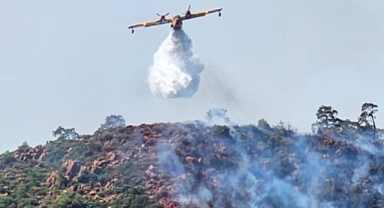 MARMARİS'TE ORMAN YANGINIYLA İLGİLİ 1 KİŞİ GÖZALTINA ALINDI