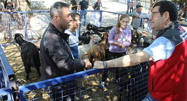 MUĞLA’DA 102 KURBAN KESİM NOKTASI OLUŞTURULDU