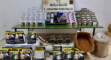 MUĞLA’DA KAÇAK TÜTÜN OPERASYONU 1 GÖZALTI