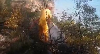 ORMAN YANGINI EKİPLERİN ZAMANINDA MÜDAHALESİ İLE SÖNDÜRÜLDÜ