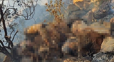 ORMAN YANGININDA BULUNAN CESET BELÇİKA VATANDAŞI ÇIKTI