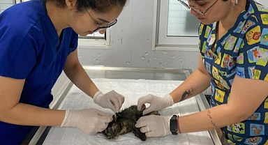 VATANDAŞ İHBAR ETTİ, BELEDİYE MÜDAHALE ETTİ