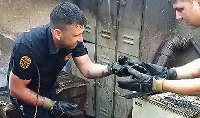 YANAN EVDEN YAVRU KEDİ KURTARILDI