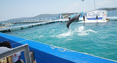 YUNUSLAR GÖSTERİLERİYLE BEĞENİ TOPLADI