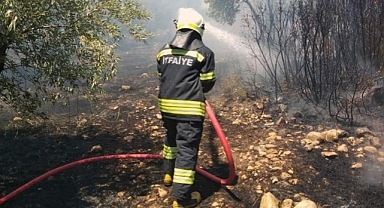 ANIZ YANGINLARI SÖNDÜRÜLDÜ