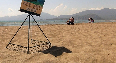 CARETTA YUVA SAYISI 600’E ULAŞTI