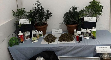 JANDARMADAN İKİ HAFTADA 24 UYUŞTURUCU OPERASYONU