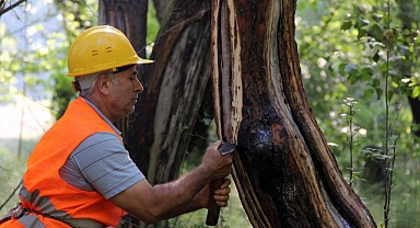 KİLOSU 5 BİN LİRA