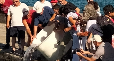 KÖYCEĞİZ’DE 318 BİN YAVRU SAZAN BALIĞI SULARA BIRAKILDI