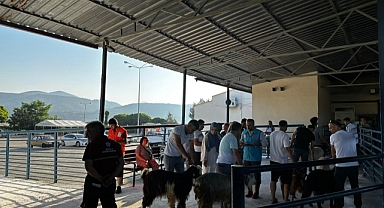 MUĞLA’DA KURBAN KESİM ORANLARI ARTTI