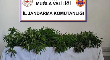 MUĞLA’NIN 5 İLÇESİNDE UYUŞTURUCU OPERASYONU