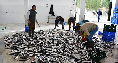 SU ÜRÜNLERİ İHRACATINDA MUĞLA ZİRVEDE