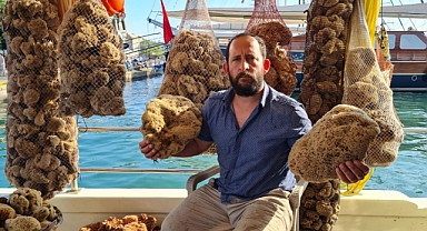 SÜNGER AVCISI TOTOZ, DEDE MESLEĞİNİ YAŞATIYOR