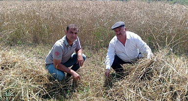 TMO’DAKİ YOĞUNLUK NEDENİYLE ÜRETİCİLER RANDEVU SIKINTISI YAŞIYOR