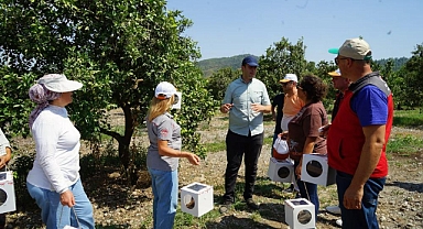 TURUNÇGİLLERDE BİYOLOJİK MÜCADELE