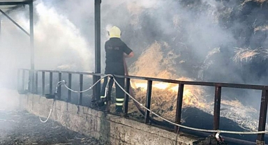 AHIR YANGININDA 2 BÜYÜKBAŞ HAYVAN TELEF OLDU