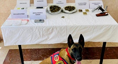 BODRUM’DA UYUŞTURUCU VE SİLAH OPERASYONU