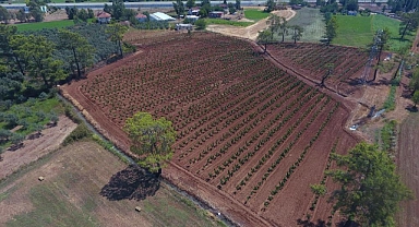 BÜYÜKŞEHİR 228 BİN 400 AĞACI TOPRAKLA BULUŞTURDU