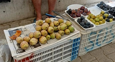 FETHİYE’DE DİKENLİ İNCİR TANESİ 10 LİRADAN SATILIYOR