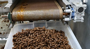 MARMARİS’TE BİR AYDA BİR TON MAMA ÜRETİLDİ