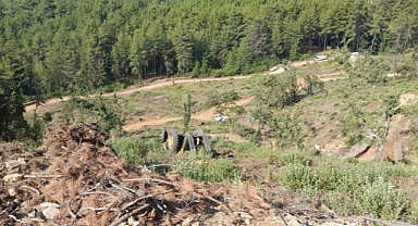 ORMAN KESİM ALANINDA İŞ KAZASI 1 ÖLÜ