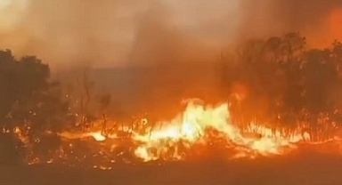 BODRUM YANGINA GELEN SAKARYA ORMAN YANGINI GÖNÜLLERİ ALEVLERİN ARASINDA KALDI