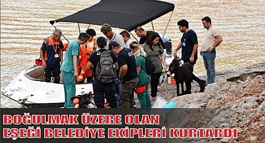 BOĞULMAK ÜZERE OLAN EŞEĞİ BELEDİYE EKİPLERİ KURTARDI