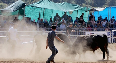 İSPANYA DEĞİL MUĞLA