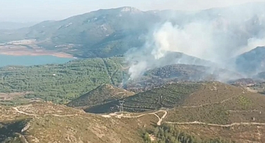 KÖYCEĞİZ'DE ORMAN YANGINI BÜYÜMEDEN SÖNDÜRÜLDÜ
