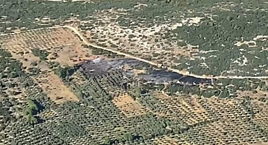 MAKİLİK YANGINI ORMANA SIÇRAMADAN SÖNDÜRÜLDÜ