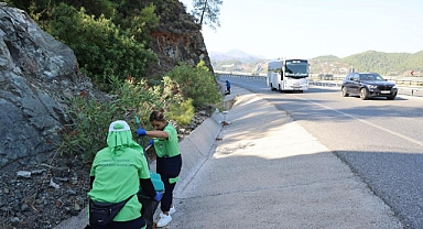 MARMARİS'TE YOLDAN GEÇENLERİN ATTIĞI ÇÖPLER TEMİZLENDİ