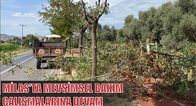 MİLAS'TA MEVSİMSEL BAKIM ÇALIŞMALARINA DEVAM 