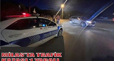 MİLAS'TA TRAFİK KAZASI 1 YARALI