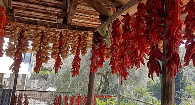 MUĞLA’DA KIŞ HAZIRLIĞI RENKLİ GÖRÜNTÜLER OLUŞTURDU