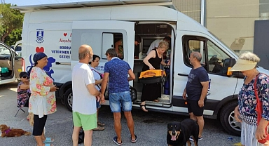 SOKAK HAYVANLARINA YÖNELİK ÇALIŞMALAR SÜRÜYOR