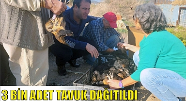 3 BİN ADET TAVUK DAĞITILDI