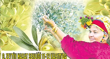 9. ZEYTİN HASAT ŞENLİĞİ 11-12 KASIM’DA